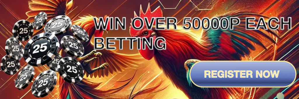 play online sabong and win over 50000P each betting